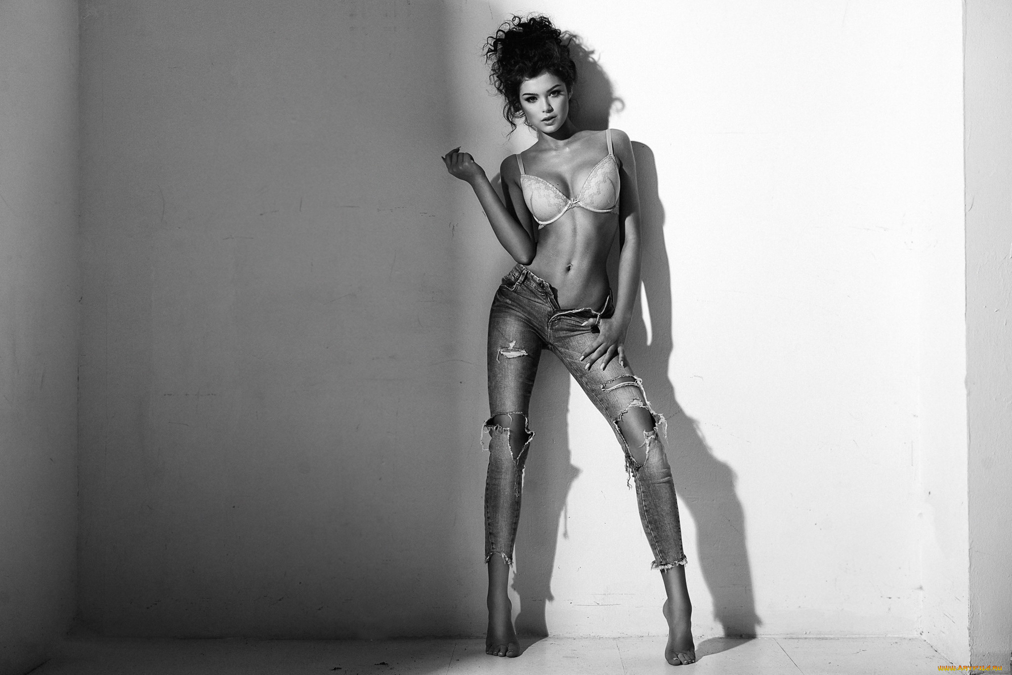 olivia krzeminska, , - ,  , , , tomasz, zienkiewicz